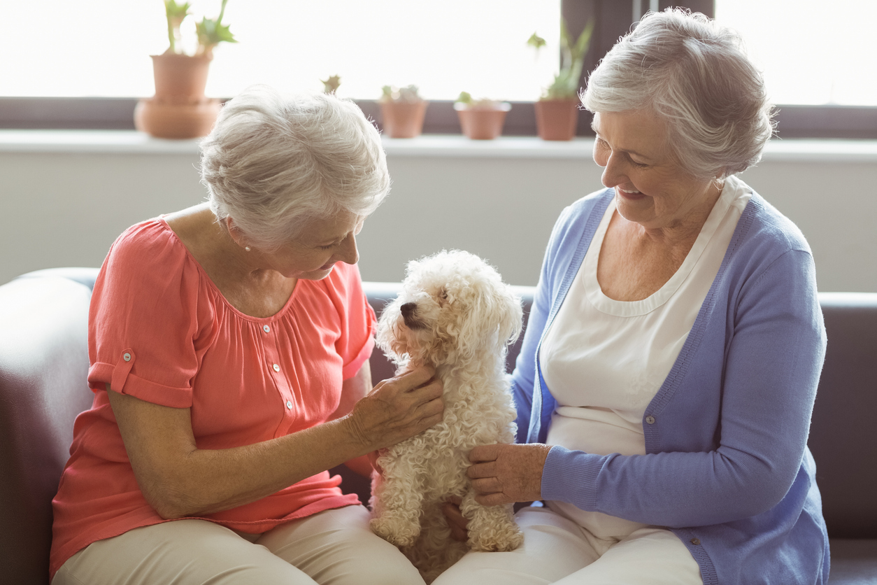 Senior women stroking a dog in a retirement home